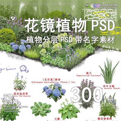 花境植物高清ps花镜花卉花坛花境设计展板效果图psd素材分层