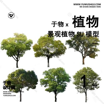 Z-02园林景观庭院植物真实花草树木乔木花卉灌木草图大师SU模型库
