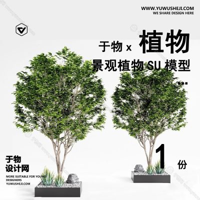 Z-12园林景观庭院植物真实花草树木乔木花卉灌木草图大师SU模型库