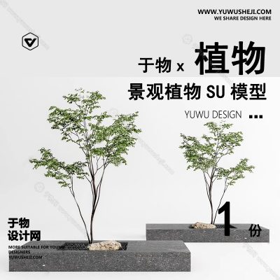 Z-13园林景观庭院植物真实花草树木乔木花卉灌木草图大师SU模型库