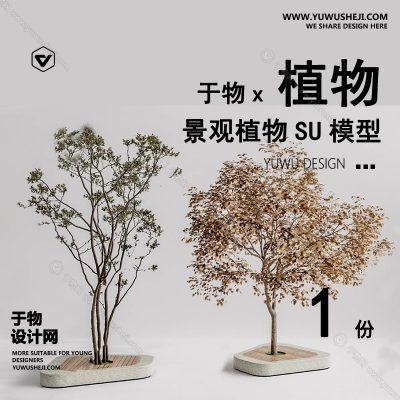 Z-15园林景观庭院植物真实花草树木乔木花卉灌木草图大师SU模型库