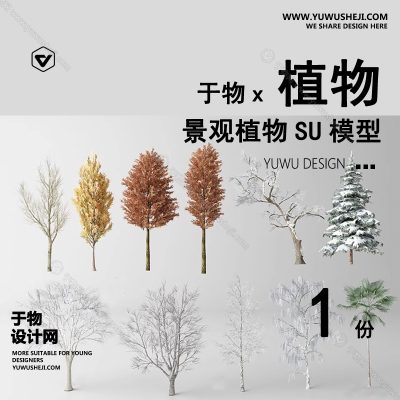 Z-20园林景观庭院植物真实花草树木乔木花卉灌木草图大师SU模型库