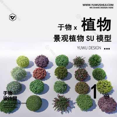 Z-24园林景观庭院植物真实花草树木乔木花卉灌木草图大师SU模型库