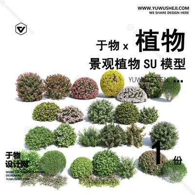 Z-28园林景观庭院植物真实花草树木乔木花卉灌木草图大师SU模型库