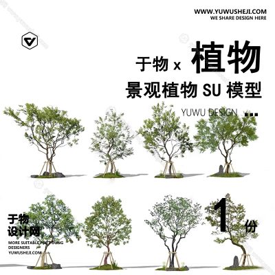 Z-39园林景观庭院植物真实花草树木乔木花卉灌木草图大师SU模型库