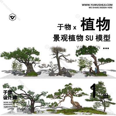 Z-40园林景观庭院植物真实花草树木乔木花卉灌木草图大师SU模型库