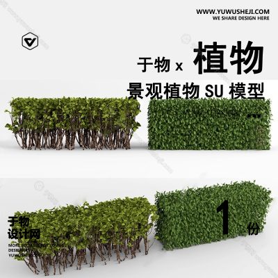 Z-42园林景观庭院植物真实花草树木乔木花卉灌木草图大师SU模型库