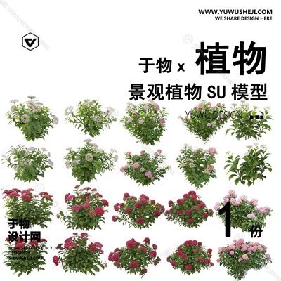 Z-45园林景观庭院植物真实花草树木乔木花卉灌木草图大师SU模型库