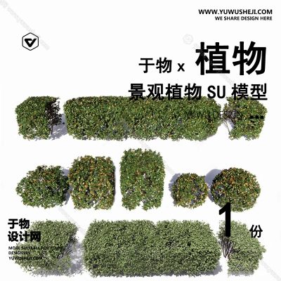 Z-47园林景观庭院植物真实花草树木乔木花卉灌木草图大师SU模型库