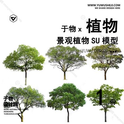Z-51园林景观庭院植物真实花草树木乔木花卉灌木草图大师SU模型库
