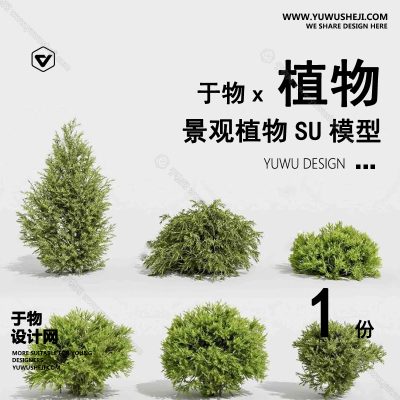 Z-55园林景观庭院植物真实花草树木乔木花卉灌木草图大师SU模型库
