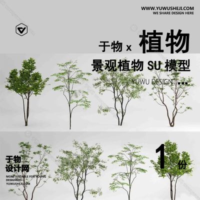 Z-59园林景观庭院植物真实花草树木乔木花卉灌木草图大师SU模型库