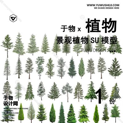 Z-60园林景观庭院植物真实花草树木乔木花卉灌木草图大师SU模型库