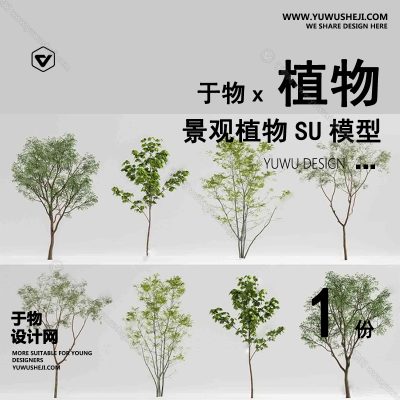 Z-61园林景观庭院植物真实花草树木乔木花卉灌木草图大师SU模型库