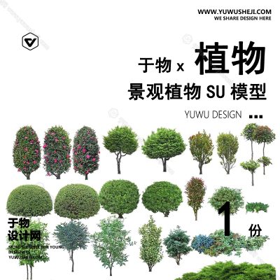 Z-62园林景观庭院植物真实花草树木乔木花卉灌木草图大师SU模型库