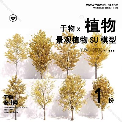 Z-64园林景观庭院植物真实花草树木乔木花卉灌木草图大师SU模型库