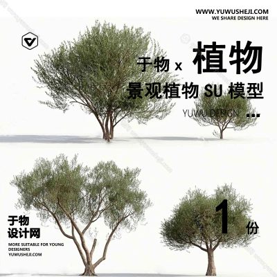 Z-65园林景观庭院植物真实花草树木乔木花卉灌木草图大师SU模型库