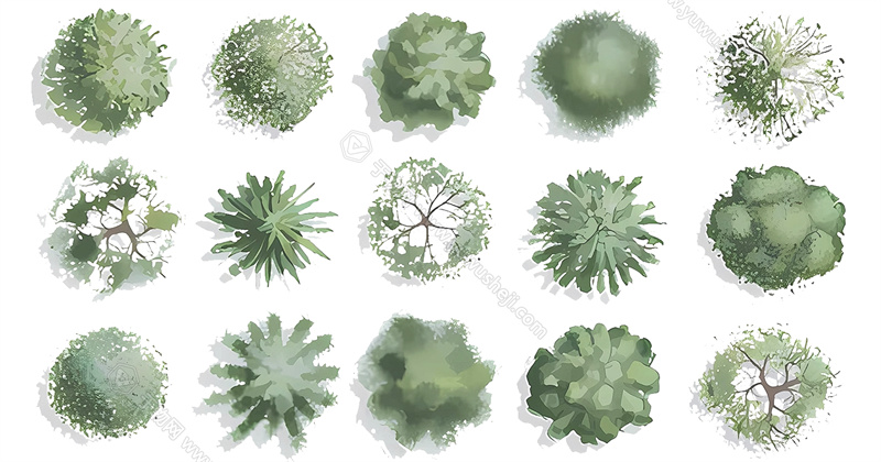 现代彩平图插画风平面树平面植物彩平树彩平植物景观彩平图 看图王