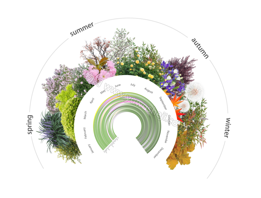 ScreenShot 2025 12 29 121219 322