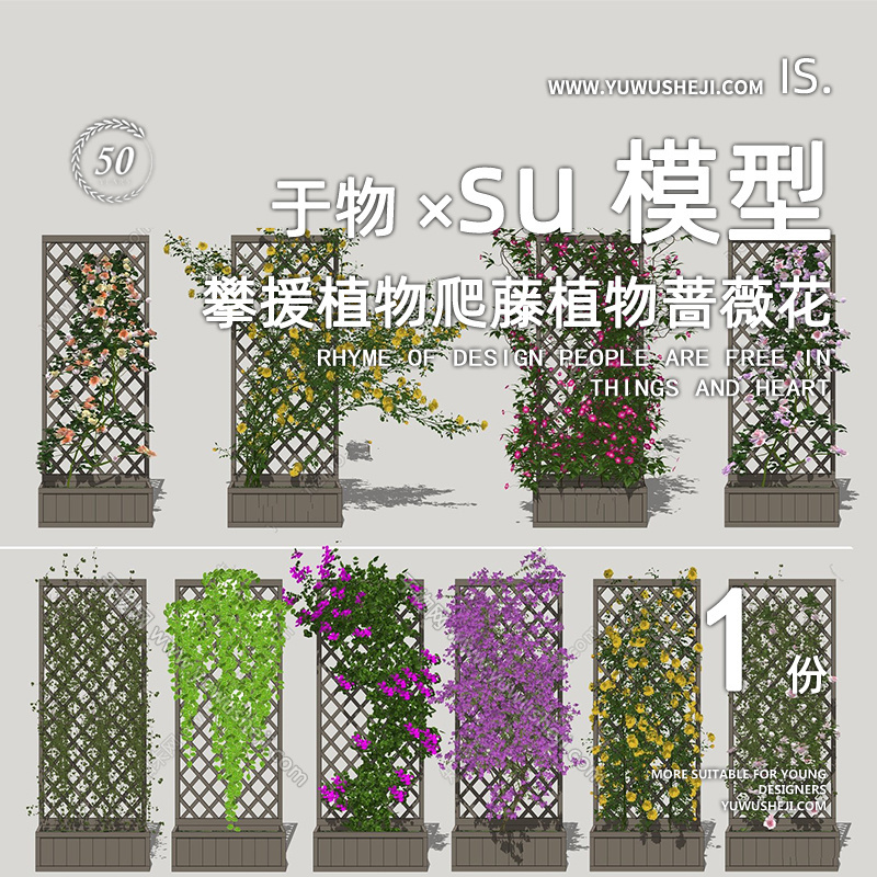 藤本攀援植物爬藤蔷薇三角梅爬山虎垂直绿化SU模型216